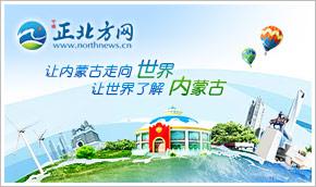 乌海市发放航空旅游补贴，助力旅行社与票务代理发展